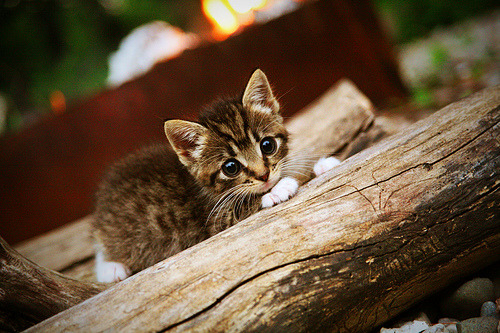 【运动健康】棒球运动如何保持身体状态，棒球怎么训练