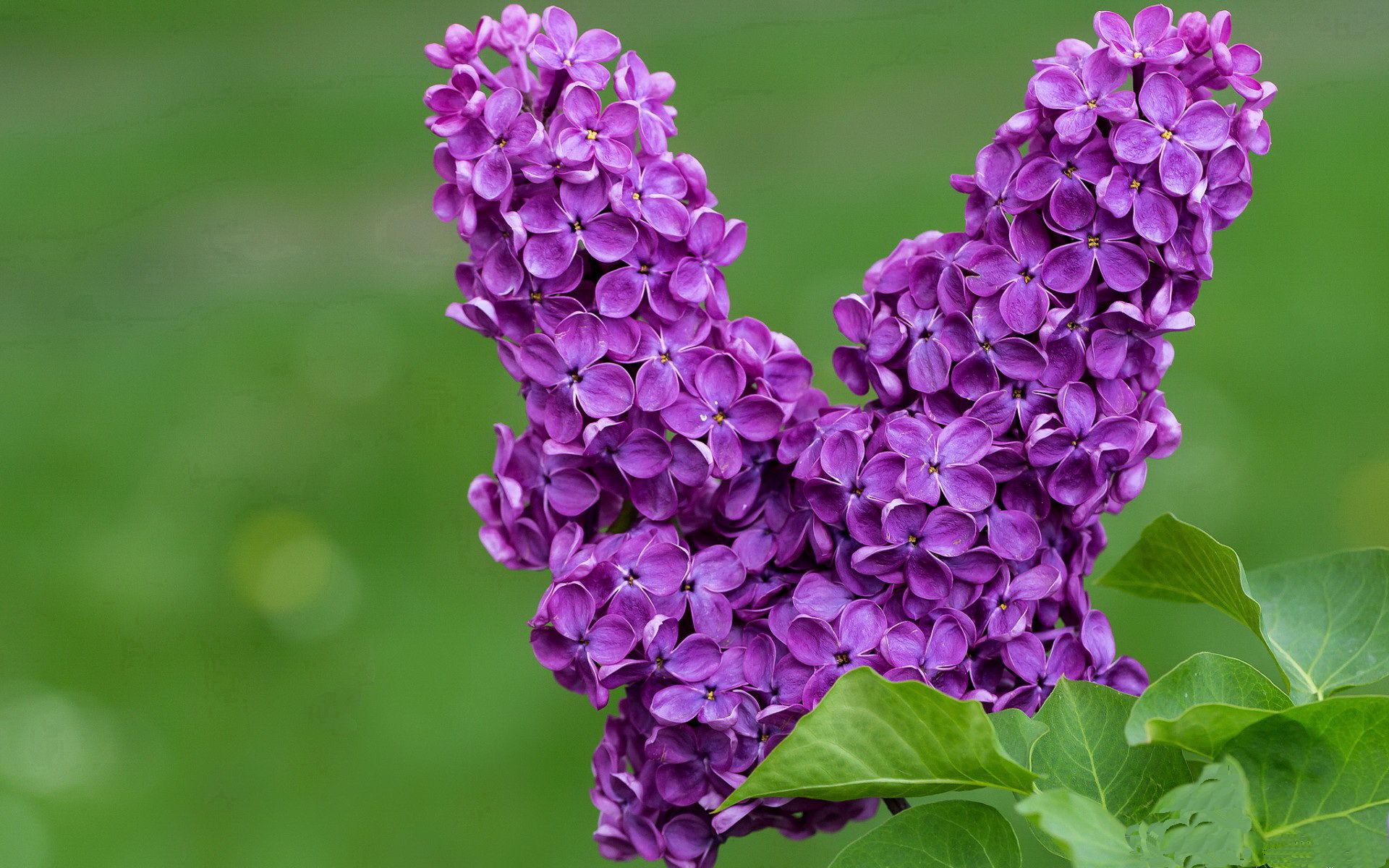 【运动员健康管理】全天候身体监控,延长运动寿命新时代,运动员的身体健康