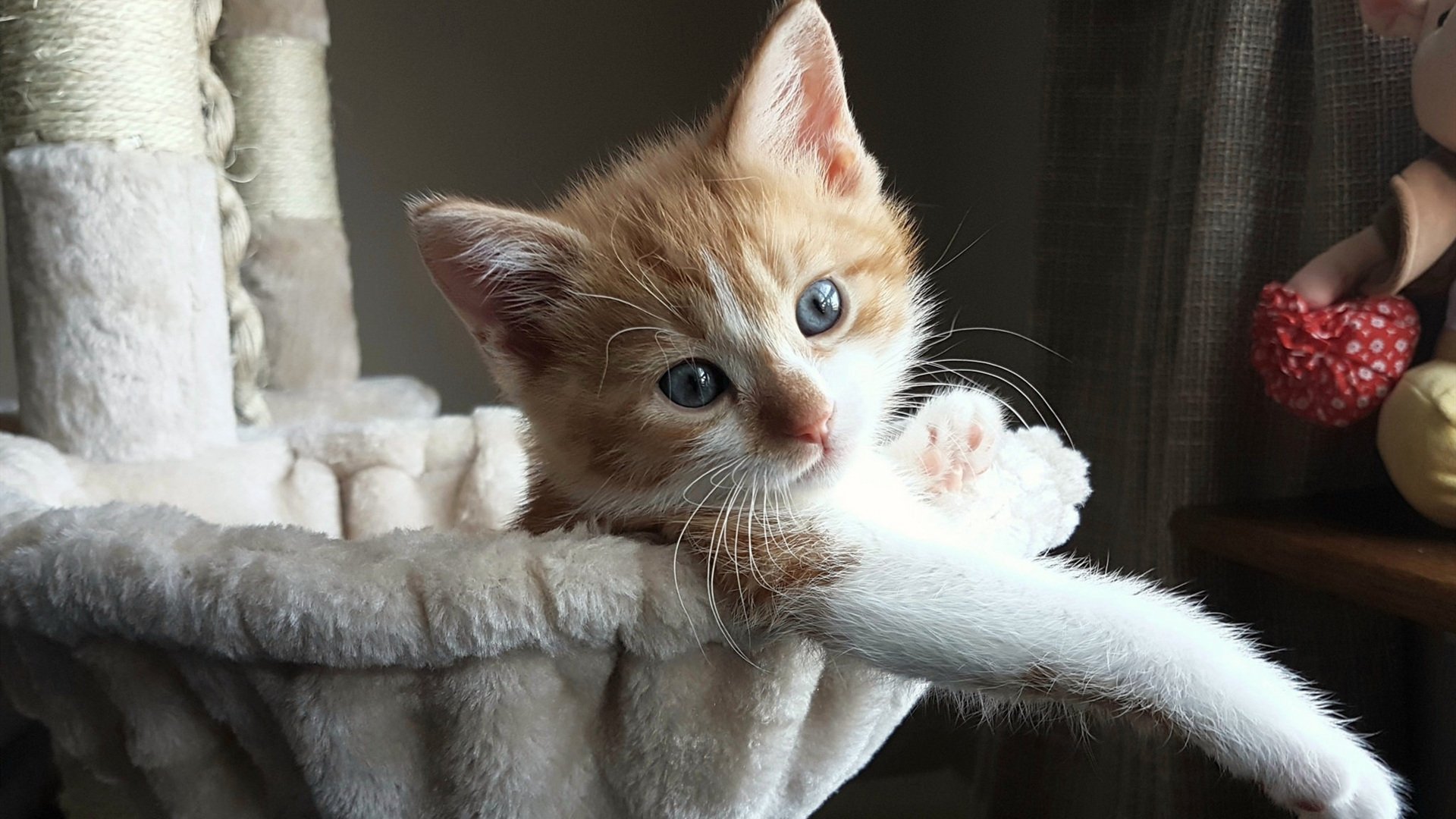 【运动员健康管理】全天候身体监控,延长运动寿命新时代,运动员的身体健康