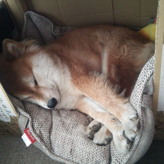 主教练专栏：战术布局的胜负关键在哪？，战术技巧