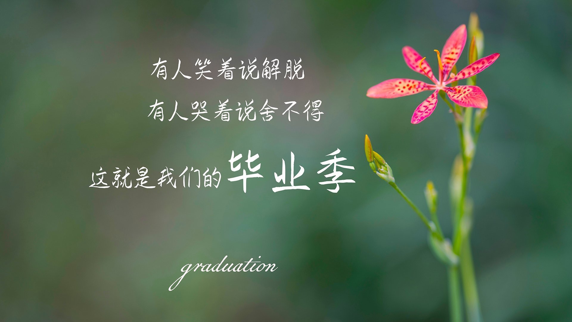 爱游戏在线登录入口-F1中国大奖赛重启，周冠宇家门口挑战极限，周冠宇f1试车手